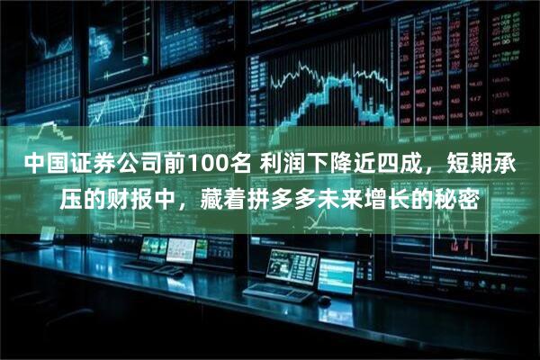 中国证券公司前100名 利润下降近四成,短期承压的财报中,藏着拼多多未来增长的秘密